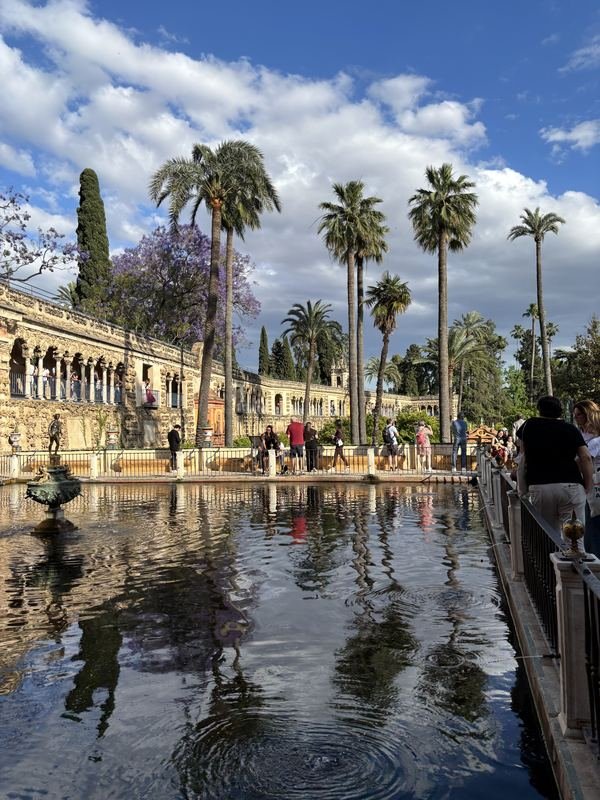 Palm-lined pool in the gardens of the Real Alcázar, Seville